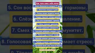 КАК ТЕЛО САМО СЕБЯ ЛЕЧИТ!!! #здоровье #зож #тело #рецепты #пп #витамины #еда #шортс