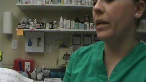 VETT 220 Task 39- Intramuscular Injection- Feline