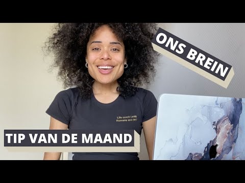 Video: Veiligheidstips Voor Honden Om Met Je Beste Vriend Te Gaan Varen