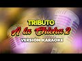 Tributo a la Chicha 2 - Virus de Amor Feat. Carlos Alfredo | KARAOKE OFICIAL