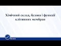 Хімічний склад, будова і функції клітинних мембран. Біологія 10 клас