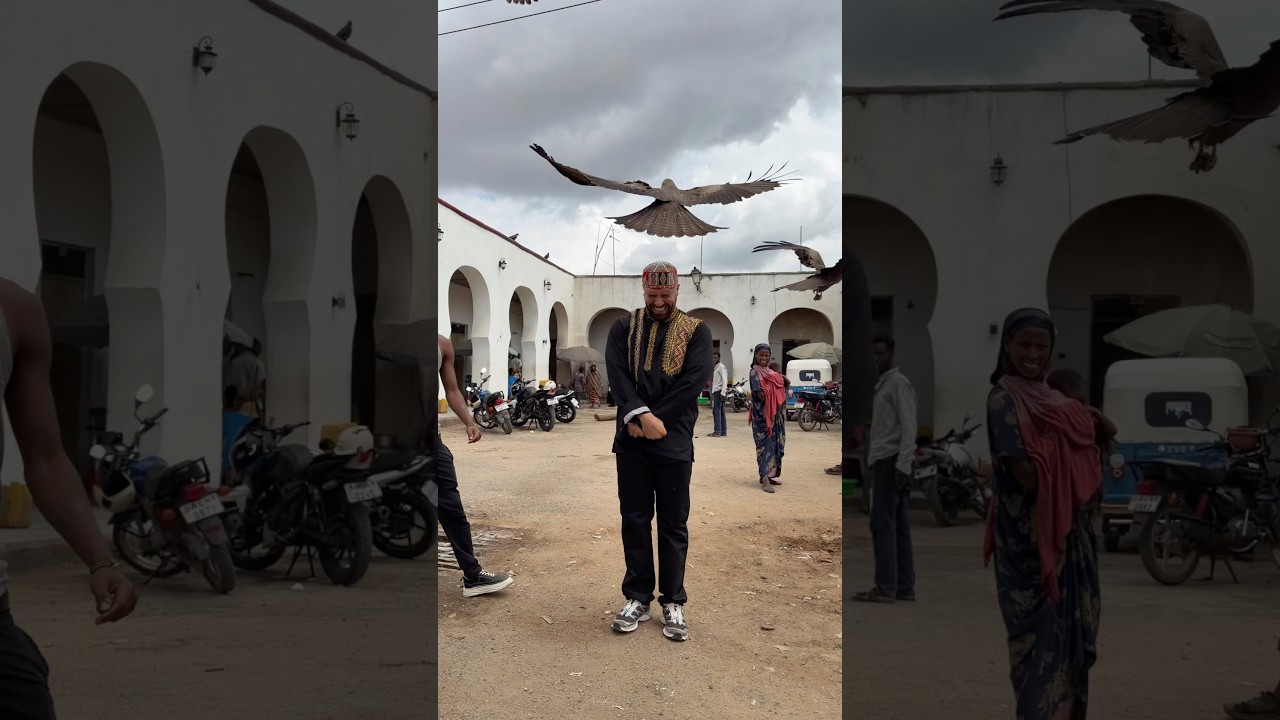 I Fed Eagles By Hand In Ethiopia