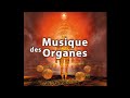 Musique Autoguérison du Corps - Purification et Nettoyage des organes