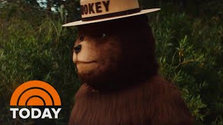 Smokey Bear turns 80: Get an exclusive look at his new PSA