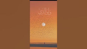 تلاوة الشيخ محمود خليل الحصرى .. الشيخ عبد الباسط عبد الصمد سورة  #CapCut #قران_كريم #تلاوة_خاشعة