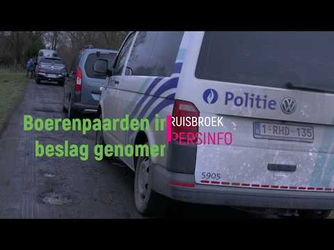 Ruisbroek: Trekpaarden in