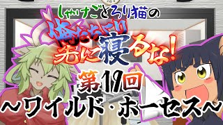 【ラジオ】しゃけごとろり猫の 俺たちより先に寝るな！【第19回】