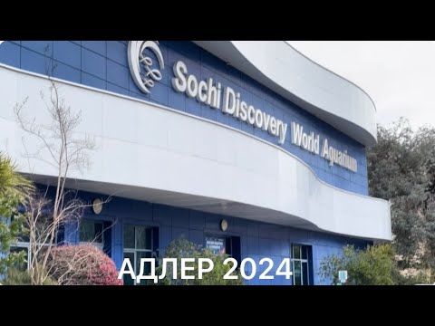 Видео: АДЛЕР 2024 КУРОРТНЫЙ ГОРОДОК. ЧТО С ФРЕГАТОМ 😳?? ЦЕНЫ В ОКЕАНАРИУМ.