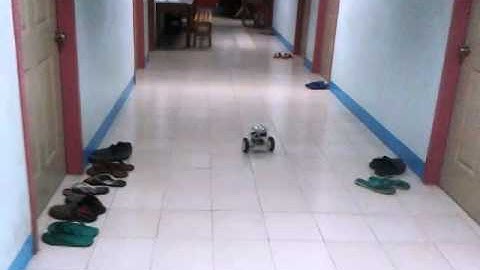 Two-Wheeled Balancing Mobile Robot