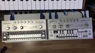 TB303 and TR606 - Transcription from sample bass line in Roland TB303 manual.