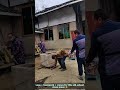 Village Hack: Moving a Giant Stone Mortar Without a Crane