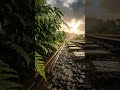 Finding Peace in the Rain: An Infinite Journey 🌿