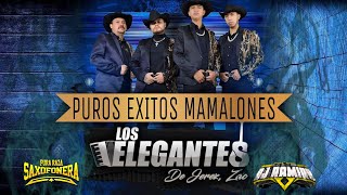 Mix Los Elegantes De Jerez (Exitos Mamalones) @PuraRazaSaxofonera-Dj Ramiro El Dj De La Raza 2023