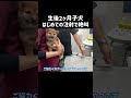 生後2ヶ月子犬はじめての注射で絶叫