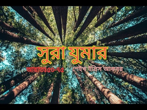 ভিডিও: যখন কিছু prepossessing হয়?