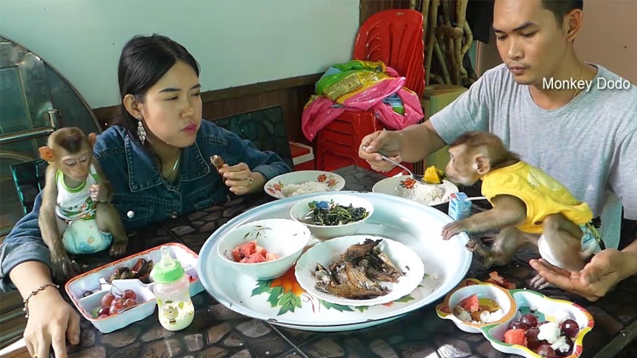 Wow, Dodo And Mori Want To Test Broheur Soup, They Are Very Surprise To Lunch