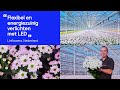 Philips horticulture benelux highlights q3 q4 2021