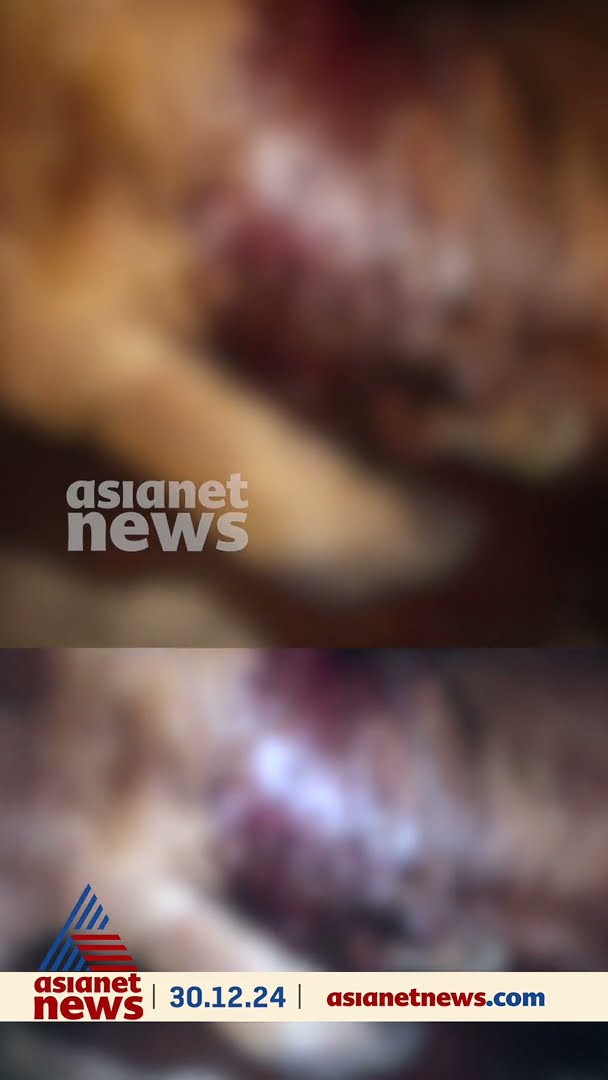 വയനാട്ടില്‍ വീണ്ടും പുലിയുടെ ആക്രമണം; പെരുന്തട്ടയില്‍ പശുവിനെ കൊന്നു