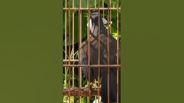 Chúc cả nhà ngày mới với nhiều niềm vui và hạnh phúc chúc gia đình luôn sức khoẻ và bình An