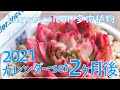 必見！Lier.succulentさんのカレンダーセットの２ヶ月後の姿を紹介！