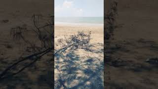 pantai oh pantai #shorts#shortsvideo