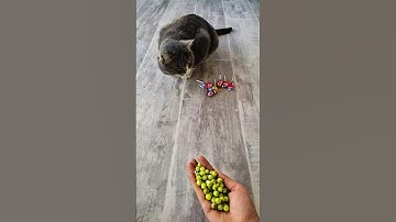 Reverse Video🤩 #satisfyingtommy