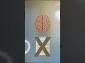 شلون تذكر أي شي تقراه #السادس_الاعدادي