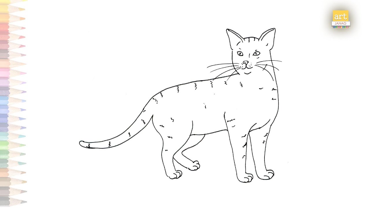 Home cat drawing easy How to draw House cat simply Cat drawing tutorials easy drawing