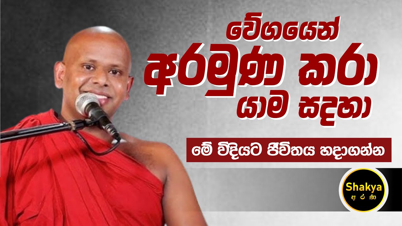 වේගයෙන් අරමුණ කරා යාම සදහා | ven. Welimada Saddaseela thero |@shakyaarana