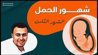 الشهر الثامن في الحمل - دكتور محمد اسماعيل