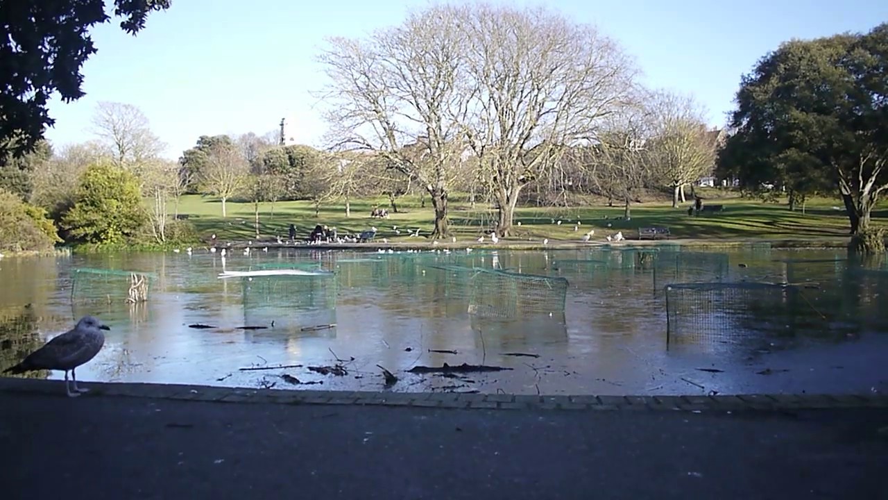 QUEENS PARK POND BRIGHTON 3219 YouTube