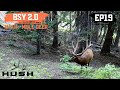 BSY | BIG BULL ELK STEPS OUT AND I HAVE A TAG | S2E19