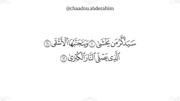 سورة الأعلى صلاة الشفع ليلة 9 من رمضان 1446هـ  #صلاة_التراويح #الشلف