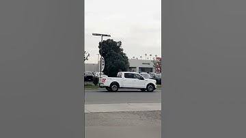 Insanely Satisfying Tree Cutting with Chainsaw #45