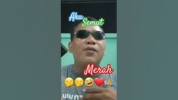 Aku semut merah #shorts