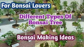 Bonsai Making Ideas || Bonsai collections || Different types of Bonsai Trees || For Bonsai Lovers