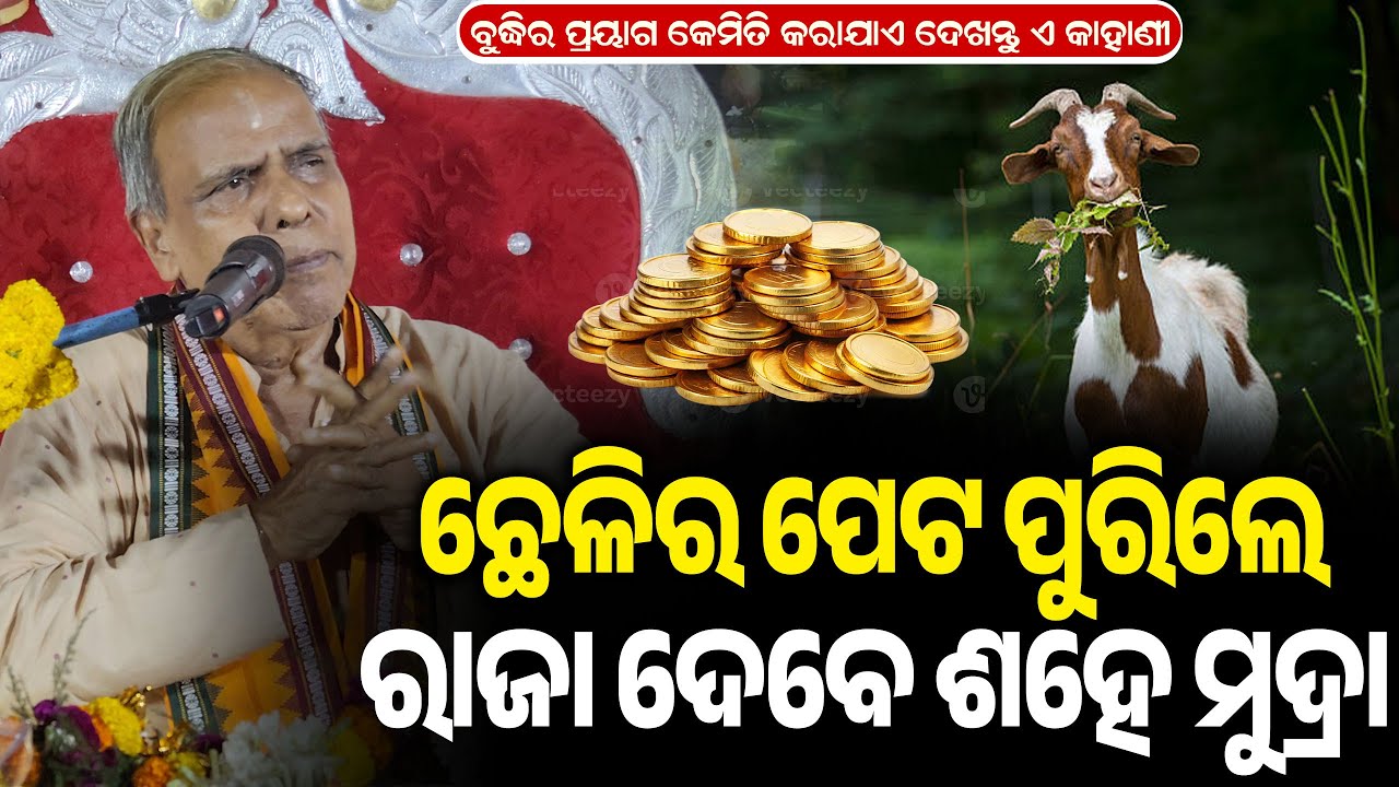 ଛେଳିର ପେଟ ପୁରିଲେ ରାଜା ଦେବେ ଶହେ ସ୍ଵର୍ଣ ମୁଦ୍ରା || Birendra Panda