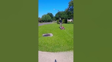 Do Straight Lines Matter When Mowing?