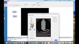 Celebrity Procedures and Breeds in NetLogo Wealth