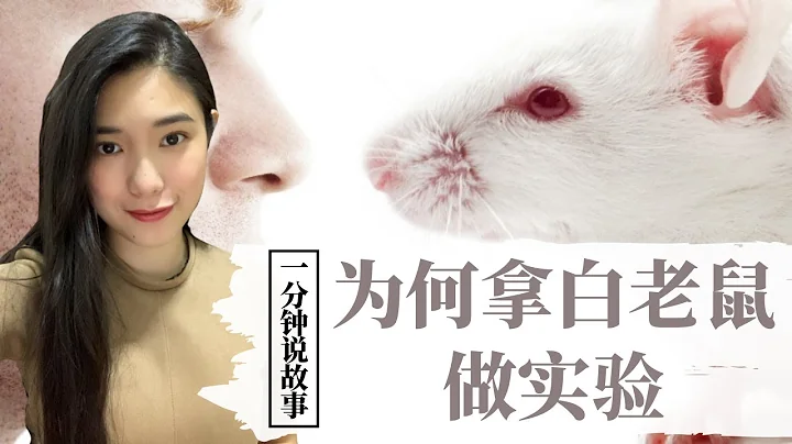 【1分钟说故事】为何拿白老鼠做实验 | 竟然和人类有相似之处 | Karen冯凯琳