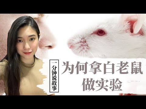 【1分钟说故事】为何拿白老鼠做实验 | 竟然和人类有相似之处 | Karen冯凯琳