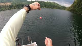 Still water fly fishing Indicator setup.