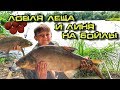 Ловля леща и линя на бойлы - Летняя рыбалка на озере