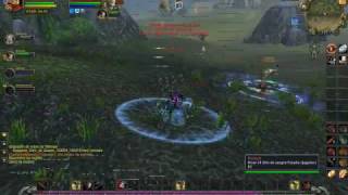 WOW WSG Horde Amazing Hack ..Ever Seen :S