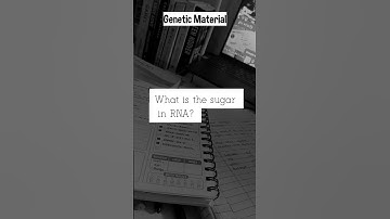 Molecular Basis of Inheritance Question 💉 #neet #shorts