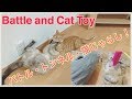 バトルトンネル猫じゃらし！Battle and cat toy.【Uzu & Nene channel 】ウズネネチャンネル