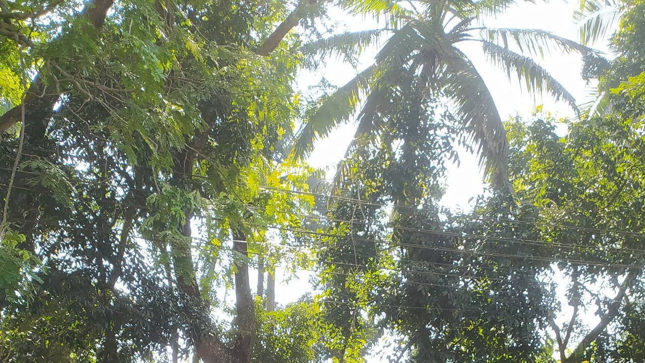 Humaira kitchen69 is live! আসসালামু আলাইকুম কেমন আছেন সবাই লাইভে চলে আসুন গল্প করি