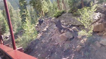 Georgetown Loop Railroad 2025-05-23 Part 2