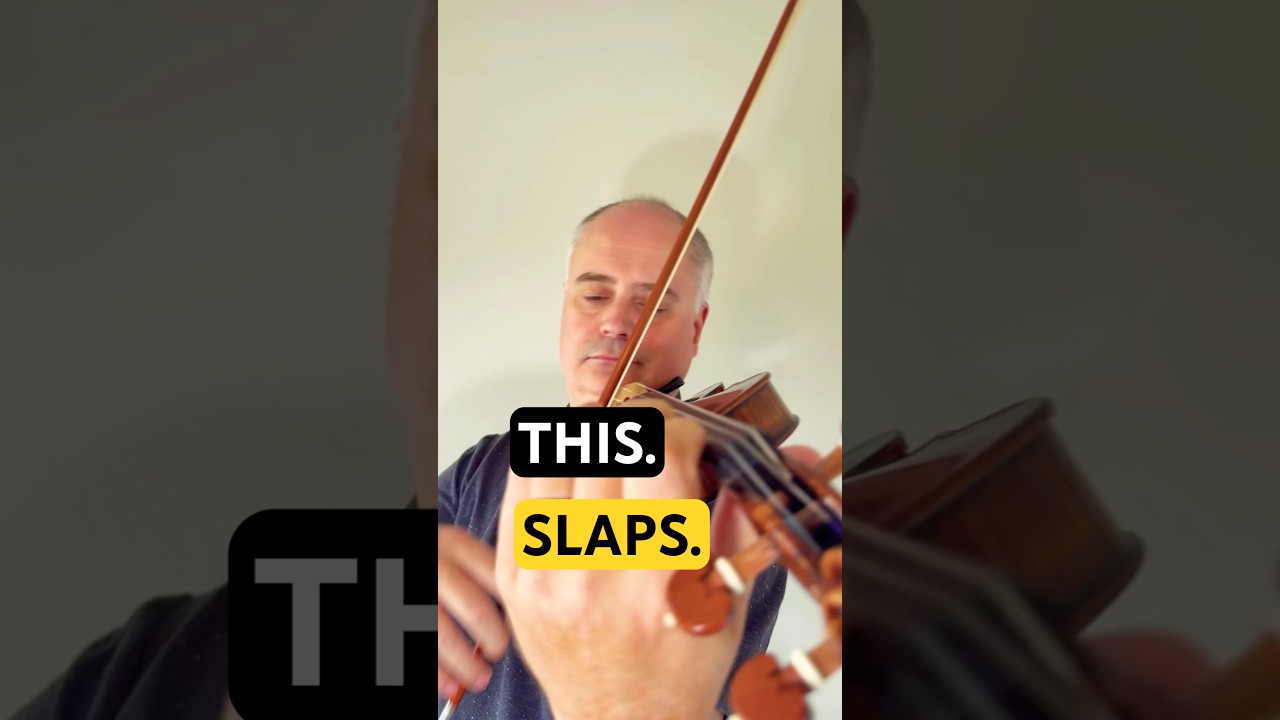 ラフォリア／ アンサンブルミュージックアンティクア ラフォリア