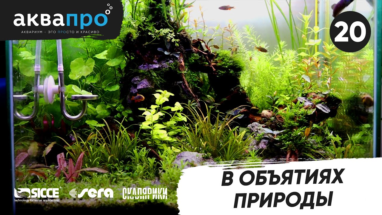 20. В объятиях природы 